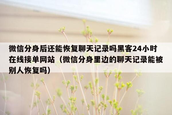 微信分身后还能恢复聊天记录吗黑客24小时在线接单网站（微信分身里边的聊天记录能被别人恢复吗）