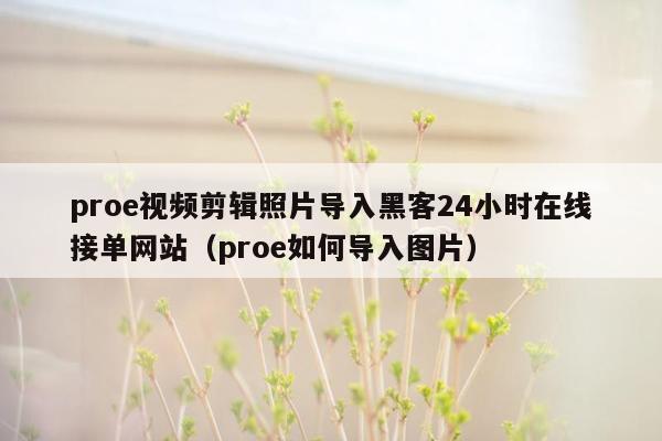 proe视频剪辑照片导入黑客24小时在线接单网站（proe如何导入图片）