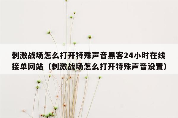 刺激战场怎么打开特殊声音黑客24小时在线接单网站（刺激战场怎么打开特殊声音设置）