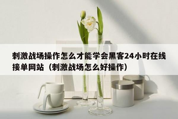 刺激战场操作怎么才能学会黑客24小时在线接单网站（刺激战场怎么好操作）