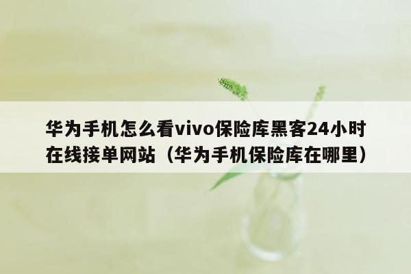 华为手机怎么看vivo保险库黑客24小时在线接单网站（华为手机保险库在哪里）