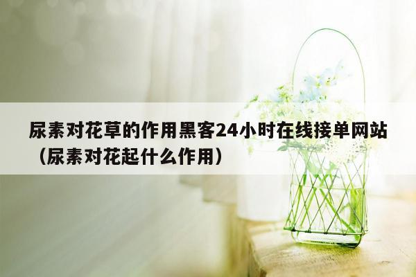 尿素对花草的作用黑客24小时在线接单网站（尿素对花起什么作用）