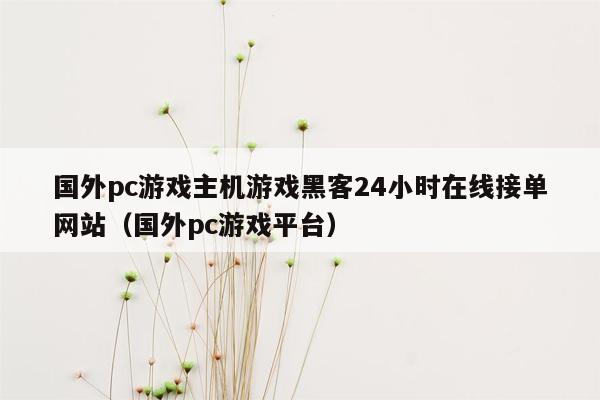 国外pc游戏主机游戏黑客24小时在线接单网站（国外pc游戏平台）