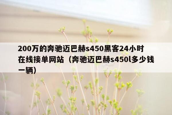 200万的奔驰迈巴赫s450黑客24小时在线接单网站（奔驰迈巴赫s450l多少钱一辆）