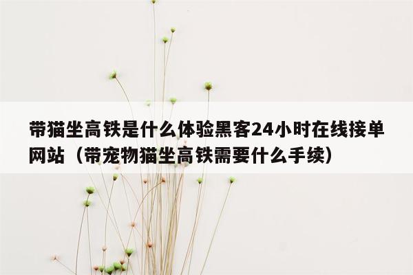 带猫坐高铁是什么体验黑客24小时在线接单网站（带宠物猫坐高铁需要什么手续）