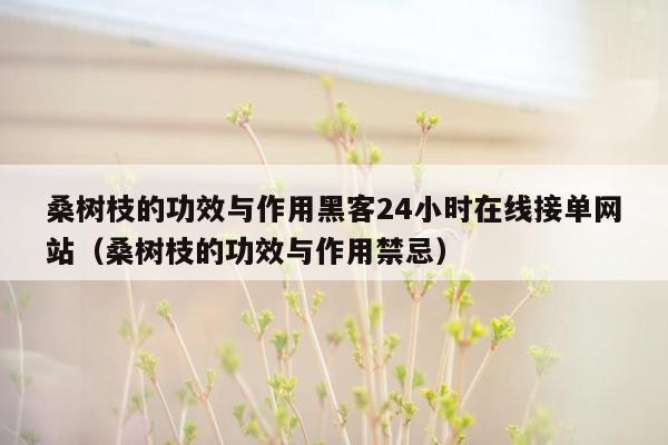 桑树枝的功效与作用黑客24小时在线接单网站（桑树枝的功效与作用禁忌）