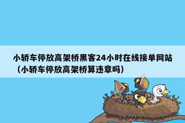 小轿车停放高架桥黑客24小时在线接单网站（小轿车停放高架桥算违章吗）