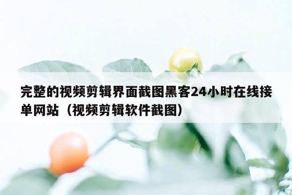 完整的视频剪辑界面截图黑客24小时在线接单网站（视频剪辑软件截图）